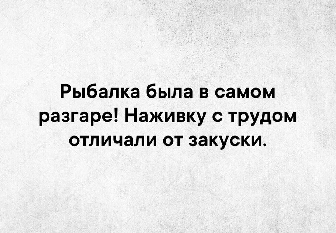 Рыбалка была в самом разгаре Наживку с трудом отличали от закуски