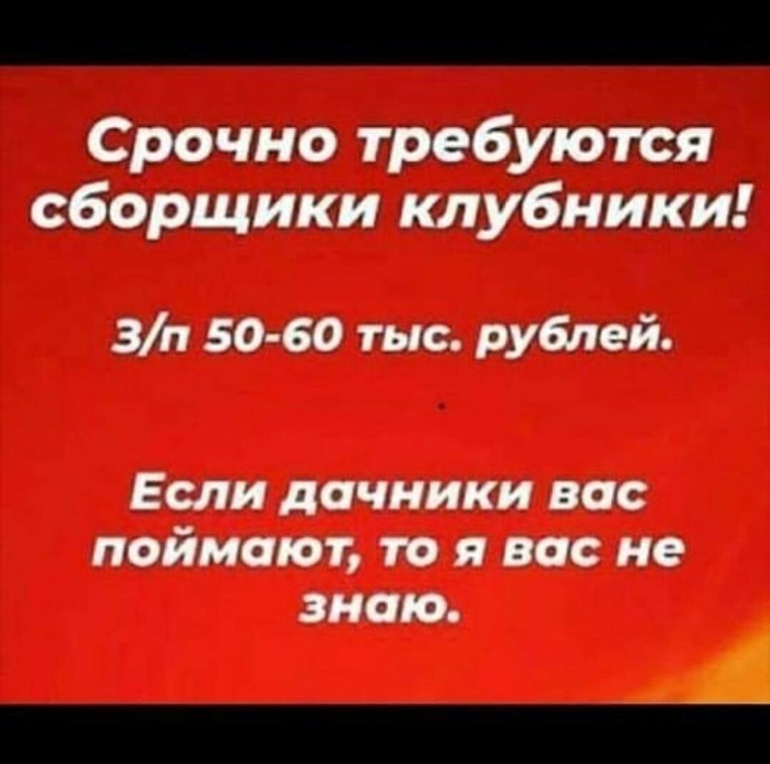 Если дачники вт паймают то я вас не знаю А _