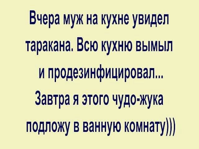Вчера муж на кухне увидел таракана Всю кухню вымыл и продезинфицировал Завтра я этого чудо жука подложу в ванную комнату