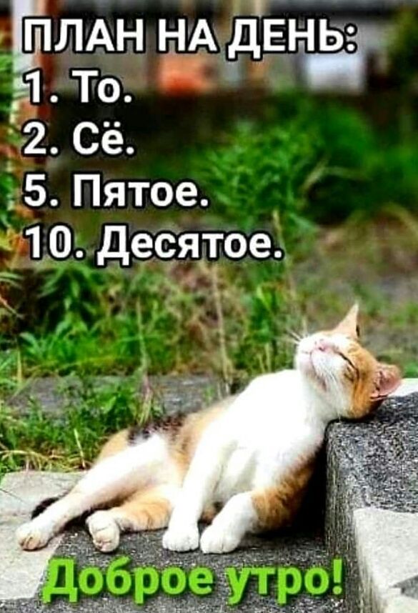 ЕіЛАн НА дЕн 1 То 2 Сё 5 Пятое 10 десятое