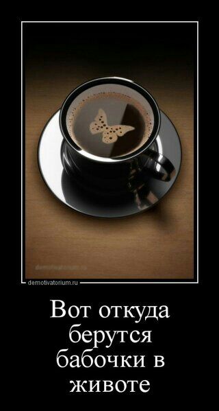 Вот откуда берутся бабочки в ЖИВОТе