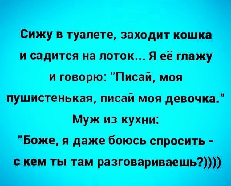 сщшшпт