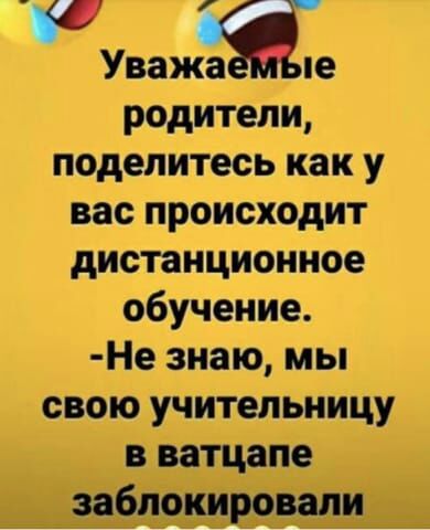 Уважже родители поделитесь как у вас происходит дистанционное обучение Не знаю мы свою учительницу в ващще _забпоцровали_