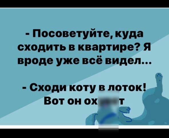 Посоветуйте куда сходить в квартире я вроде уже всё видел Сходи коту в поток Вот он ох т г в _