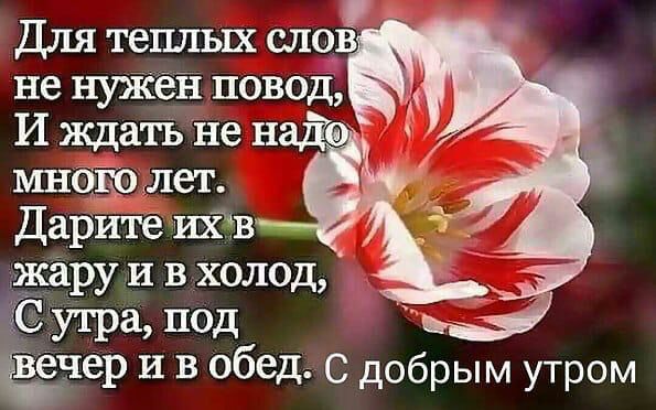 Для теплых шов жару и в холод утра под Ёчер и в обед С добрым утром