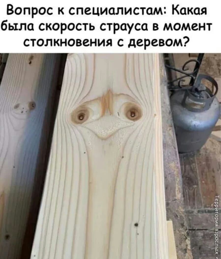 Вопрос к специалистам Какая было скорость страуса в момент столкновения с деревом в 4 0 ё Е Х