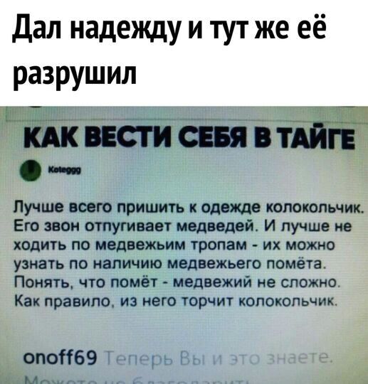 Дал надежду и тут же её разрушил Лучше всего пришить одежде колокольчик Его звон отпугивает медведей И лучше не ходить по мвдвежьим тропам их можно узнать по наличию медвежьего помета Понять что помёт медвежий не сложно Как правило из него торчит колокольчик опоК69 Мг