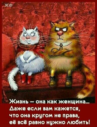 ЛФ ЖИЗНЬ _ О КВК ЖСНЩИНЦ АЖ САИ М КВЖТС что вид кругом нс прим всё равно иижио мобить