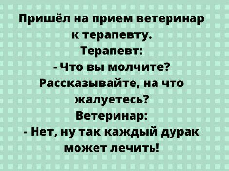 Пришёл на прием ветеринар к терапевту Терапевт Что вы молчите Рассказывайте на что жалуетесь Ветеринар Нет ну так каждый дурак может лечить