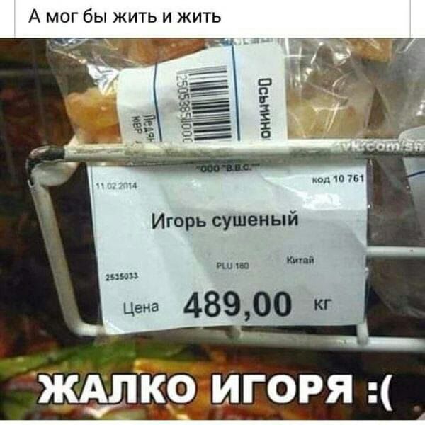 А МОГ бы ЖИТЬ И ЖИТЬ