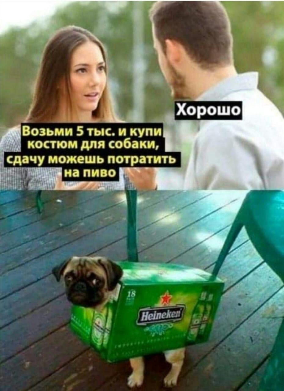 _і _ Возьми 5 тыс и купи костюм для собаки сдачу МОЖЕЗШЬ потратить на ПИВО