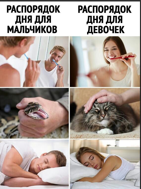 РАСПОРЯДОК РАСПОРЯДОК ДНЯ ДЛЯ ДНЯ ДЛЯ МАЛЬЧИКОВ ДЕВОЧЕК из