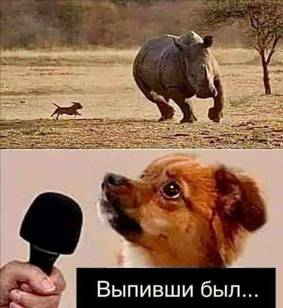 Выпивши был...