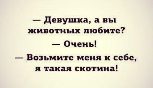 девушка а вы животных любите Очень Возьмите меня к себе я такая скотина