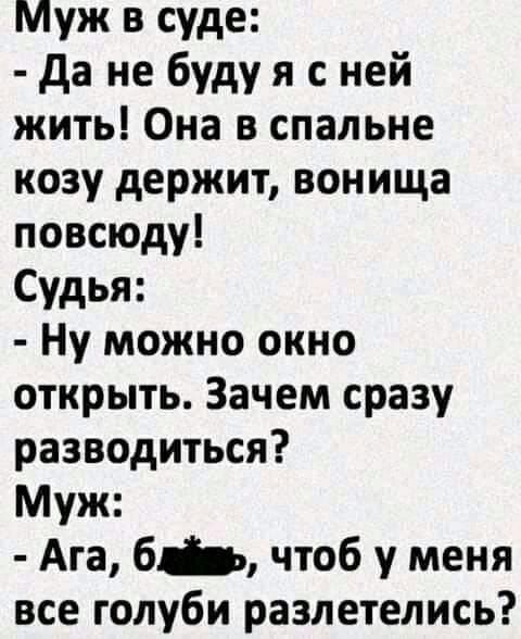 Муж в суде да не буду я с ней жить Она в спальне козу держит вонища повсюду Судья Ну можно окно открыть Зачем сразу разводиться Муж Ага бв чтоб у меня все голуби разлетелись
