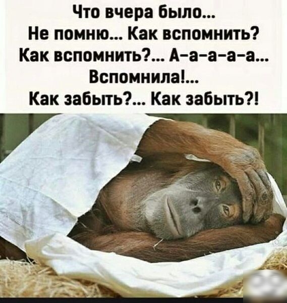 Что вчера было Не помню Как вспомнить Как вспомнить А а а а а Вспомнилаі Как забьпь Как забыть