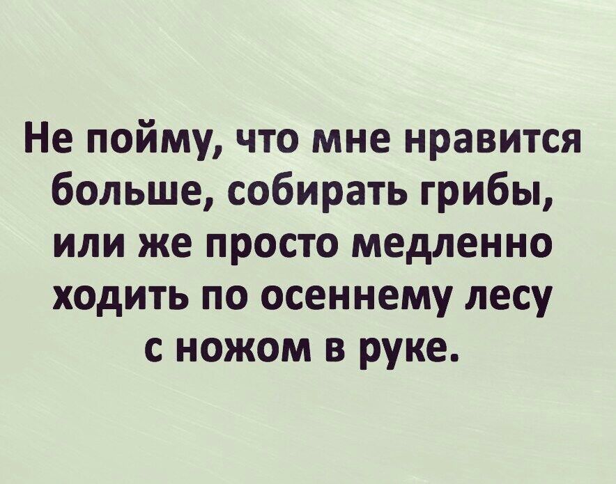 Не пойму что мне нравится больше собирать грибы или же просто медленно ходить по осеннему лесу с ножом в руке