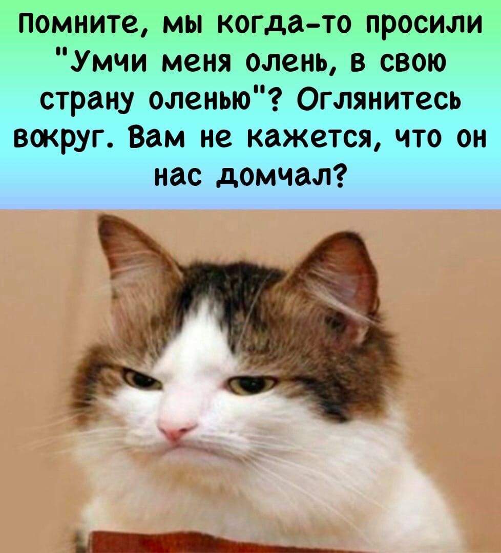 помните мы когда то просили Умчи меня олень в свою страну оленью Оглянитесь вокруг Вам не кажется что он нас домчал