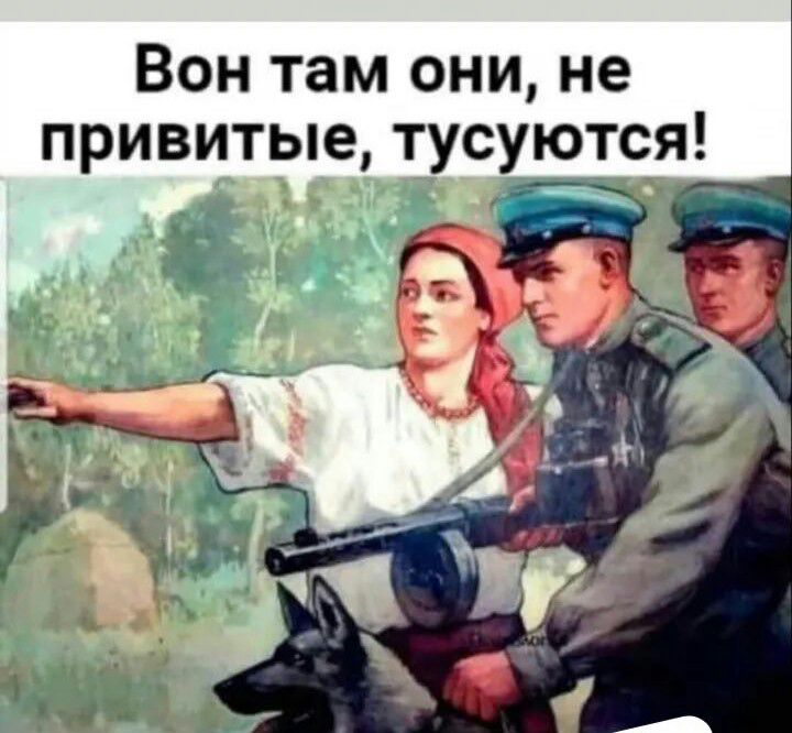 Вон там они не привитые тусуютс