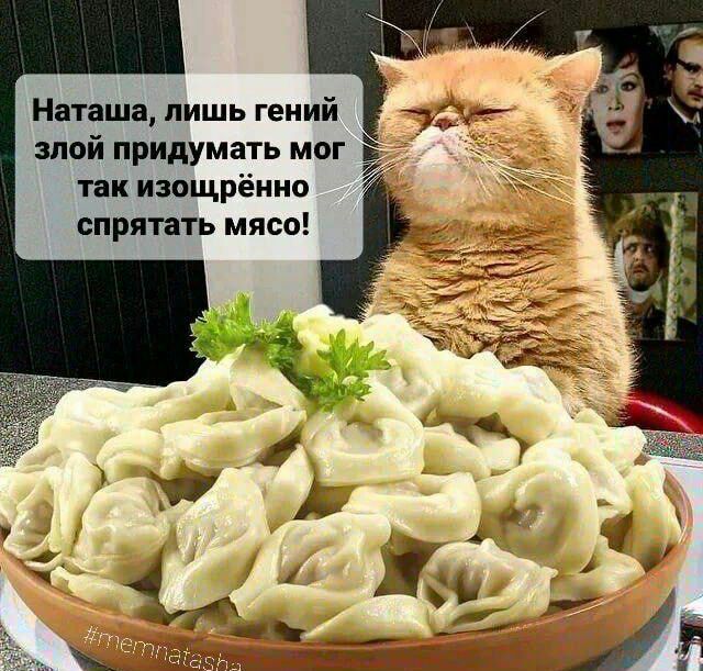 Наташа лишь гений злой придумать мог так изощрённо спрятать мясо