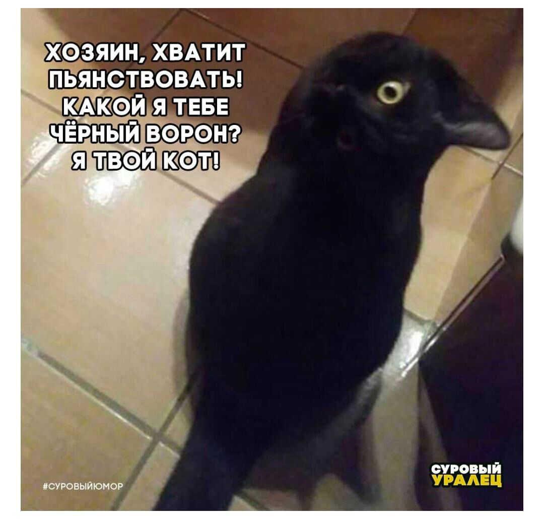 суровый