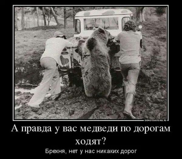 А правда у вас медведи по дорогам ходят Брехня нет у на никаких дорог