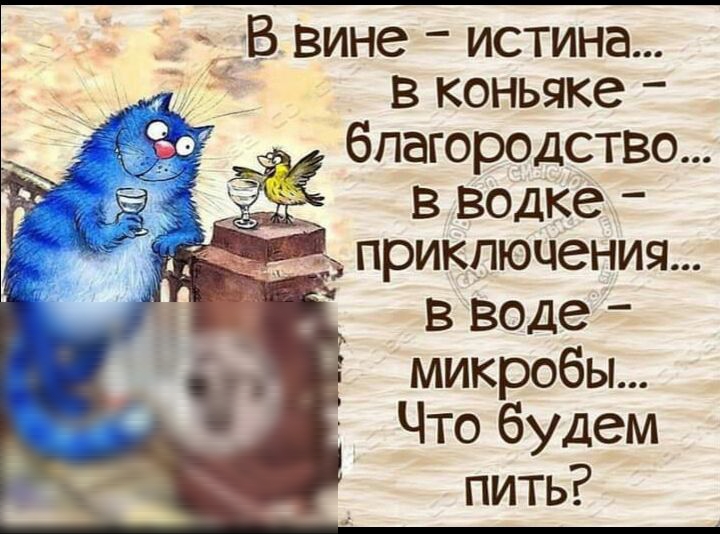 В вине истина в коньяке благородство _ в водке приключения в воде микробы Что будем пить