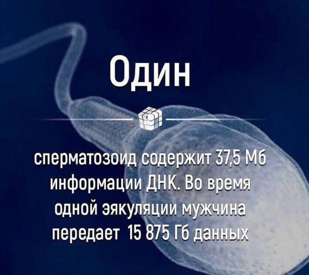 сперматозе информацщ _ ОДНОЙ эяку _ _ передает 15 _