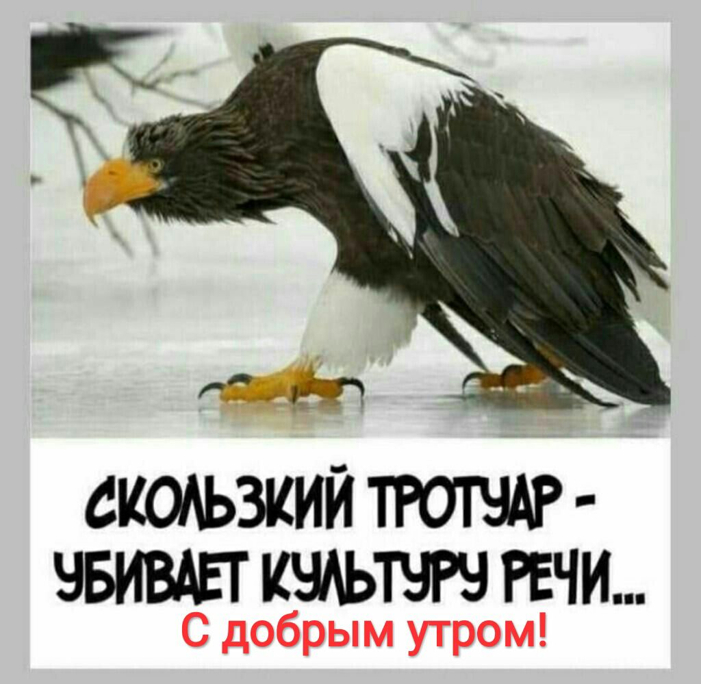 иЁП СКОАЬЗКИЙ ТРОТЧАР ЧБИВАЕТ КЧАЬТЧРЧ РЕЧИ