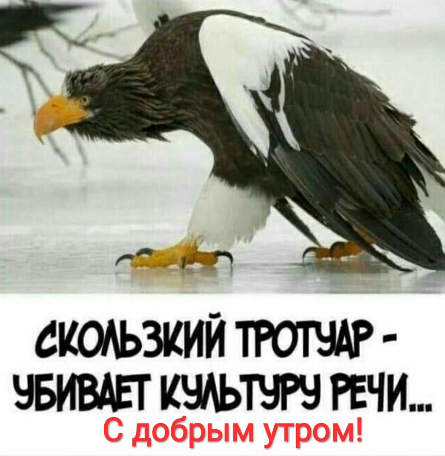 Скользкий троту  убивает культуру речи..