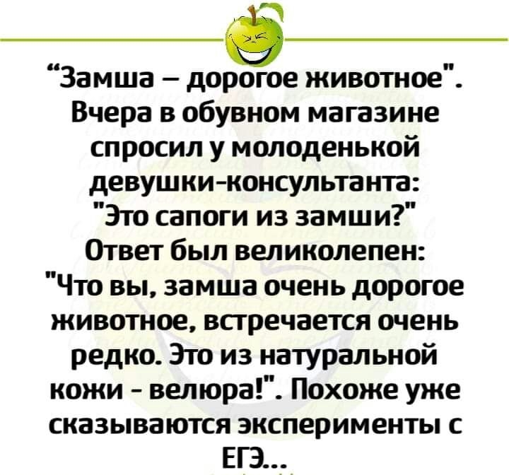 Замша дорогое животное Вчера в обувном магазине спросил у молоденькой девушки консульта нта Это сапоги из замши Ответ был великолепен Что вы замша очень дорогое животное встречается очень редко Это из натуральной кожи велюра Похоже уже сказываются эксперименты с ЕГЭ