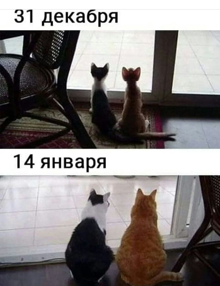 31 декабря 14 янЁар_я _ і
