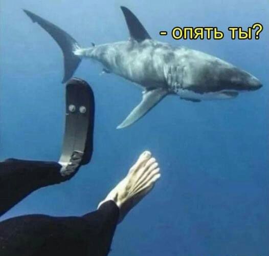 апять