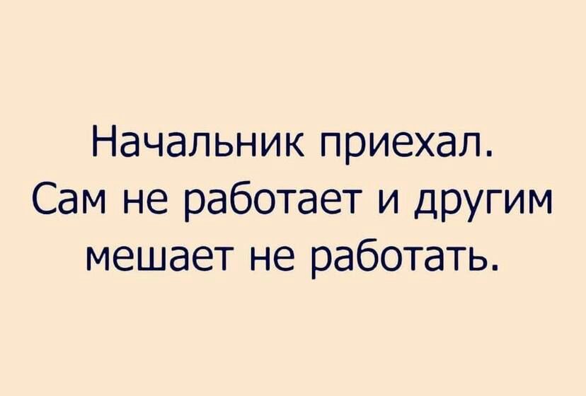 Начальник приехал Сам не работает и другим мешает не работать