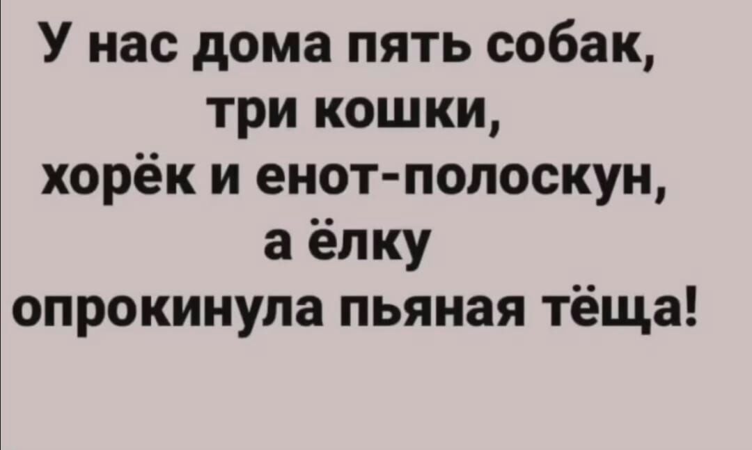 У нас дома пять собак три кошки хорёк и енот полоскун а ёлку опрокинула пьяная тёща