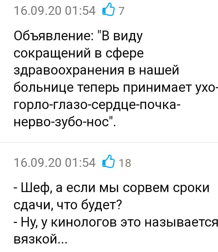 160920 0154 17 7 Объявление В виду сокращений в сфере здравоохранения в нашей больнице теперь принимает ухо горлоглазо сердце почка нерво зубо нос 160920 0154 518 Шеф а если мы сорвем сроки сдачи что будет Ну у кинологов это называется вязкой