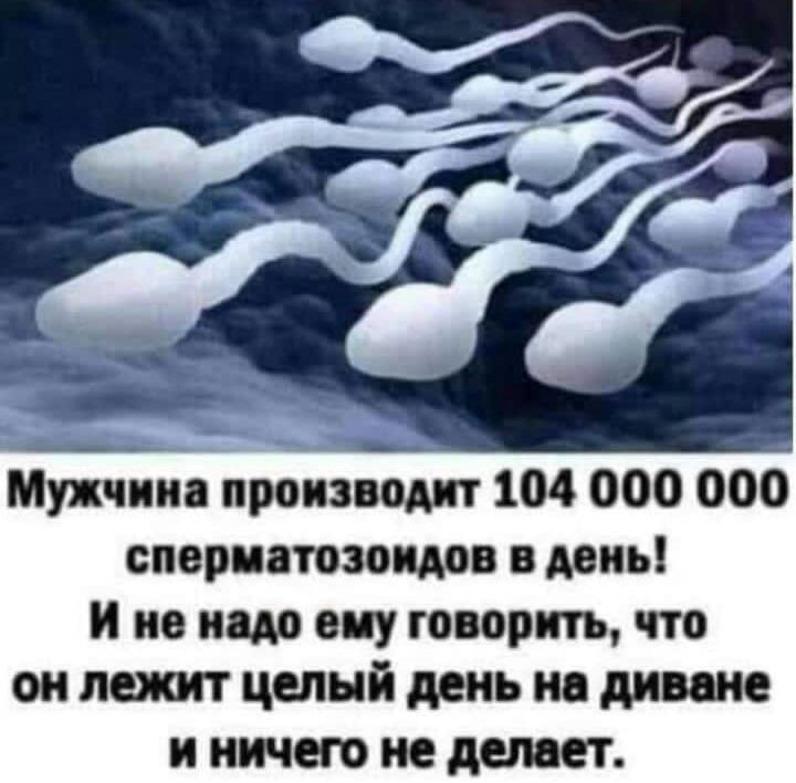 Мужчина производит 104 000 000 сперматозоидов в день И но надо сиу говорить что он леиоп целый день ив диване