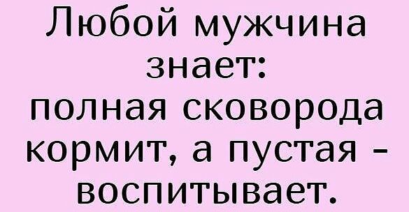 Любой мужчина знает полная сковорода кормит а пустая воспитывает