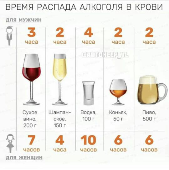 ВРЕМЯ РАСПАДА АЛКОГОЛЯ В КРОВИ для мужчин 324 часа часа часа іі і_іп9ю 2 2 часа часа Сухие Шампанг водке Коньяк Пиво вина ское 100 г 50 г 500 г 200 г 150 г 7 4 часов часа ЛПП ЖЕНЩИЙ 10 часов 6 часов 6 часов