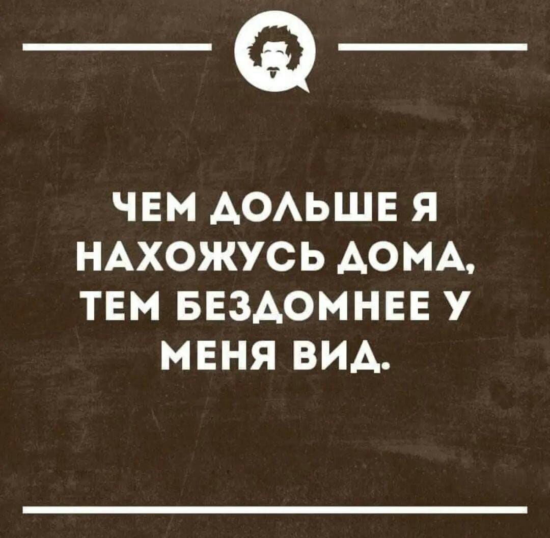 Этот опоссум ворвался ночью в пекарню и съел столько что не смог больше двигаться Так его нашли владельцы пекарни утром