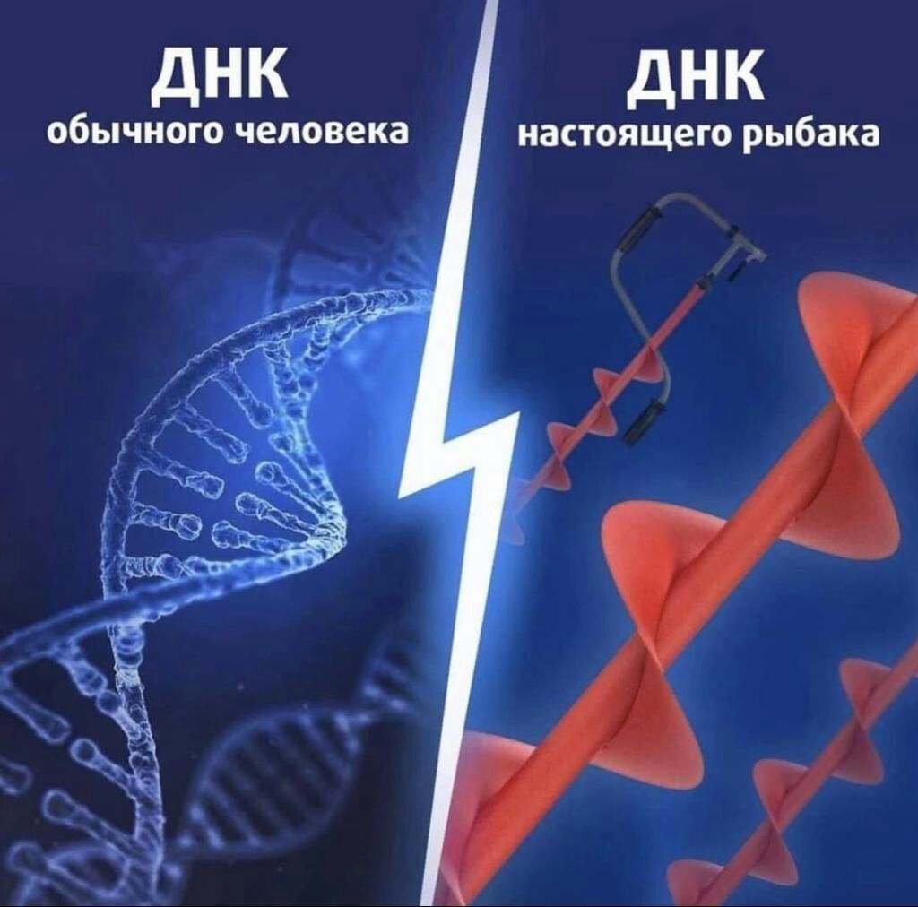 ДНК ДНК обычного человека настоящего рыбака