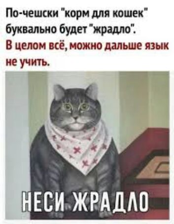 Почешски 