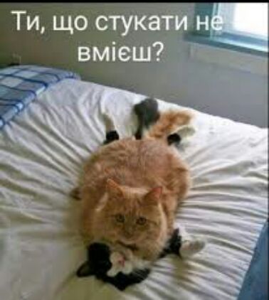 Ти, що стукати н : ы вмеш?