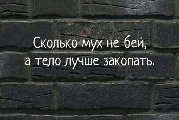 ___ _ _ __ _ _ __4 Сколька мух не беи ______ __ __ а тело лучше закопать