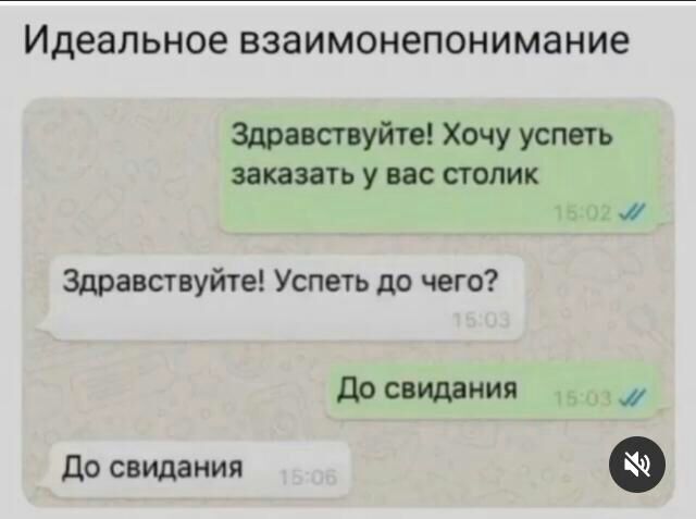 Идеальное взаимонепонимание здравствуйте! Хочу успеть заказать у вас столик 6024 здравствуйте! Успеть до чего? До свидания м до свидания ф