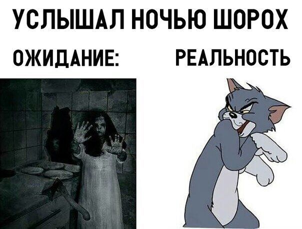 Услышал ночью шорох ожидание: реальность