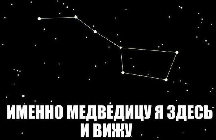 Имешю медведицу я здевь . Ивижу .