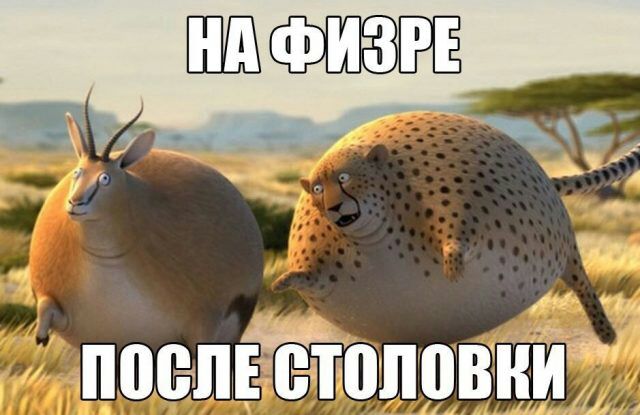И ча дпослестоловни