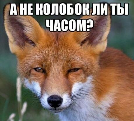 Та, ее нъъъън!ё ты