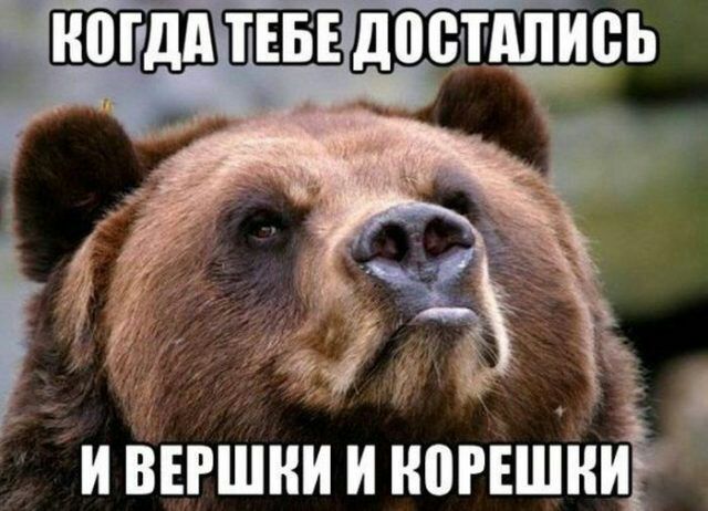 Когдатебедостались и вершки и ;пешни'